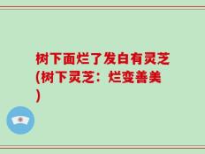 树下面烂了发白有灵芝(树下灵芝：烂变善美)