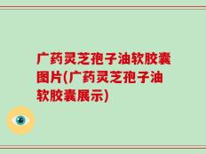 广药灵芝孢子油软胶囊图片(广药灵芝孢子油软胶囊展示)