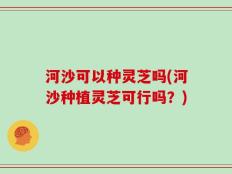 河沙可以种灵芝吗(河沙种植灵芝可行吗？)