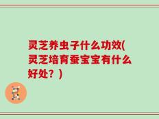 灵芝养虫子什么功效(灵芝培育蚕宝宝有什么好处？)