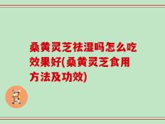 桑黄灵芝祛湿吗怎么吃效果好(桑黄灵芝食用方法及功效)