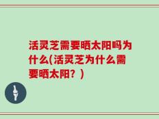 活灵芝需要晒太阳吗为什么(活灵芝为什么需要晒太阳？)