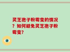 灵芝孢子粉霉变的情况？如何避免灵芝孢子粉霉变？