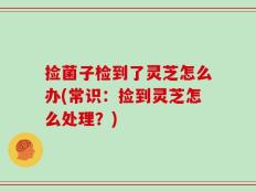 捡菌子检到了灵芝怎么办(常识：捡到灵芝怎么处理？)