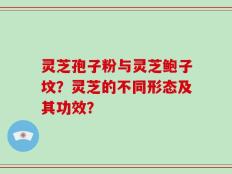 灵芝孢子粉与灵芝鲍子坟？灵芝的不同形态及其功效？