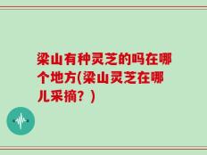 梁山有种灵芝的吗在哪个地方(梁山灵芝在哪儿采摘？)