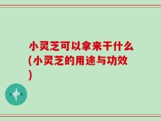 小灵芝可以拿来干什么(小灵芝的用途与功效)