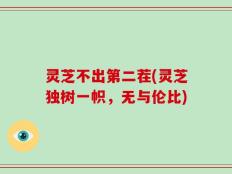 灵芝不出第二茬(灵芝独树一帜，无与伦比)