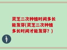 灵芝二次种植时间多长能发芽(灵芝二次种植多长时间才能发芽？)