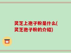 灵芝上孢子粉是什么(灵芝孢子粉的介绍)