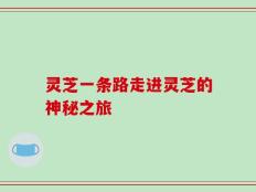 灵芝一条路走进灵芝的神秘之旅
