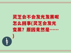 灵芝会不会发光发黑呢怎么回事(灵芝会发光变黑？原因竟然是……)