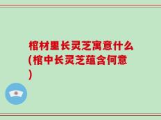 棺材里长灵芝寓意什么(棺中长灵芝蕴含何意)