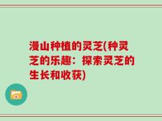 漫山种植的灵芝(种灵芝的乐趣：探索灵芝的生长和收获)