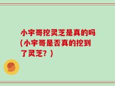 小宇哥挖灵芝是真的吗(小宇哥是否真的挖到了灵芝？)