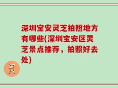 深圳宝安灵芝拍照地方有哪些(深圳宝安区灵芝景点推荐，拍照好去处)