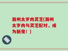 滁州太岁肉灵芝(滁州太岁肉与灵芝配对，成为新宠！)