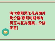 清代康熙灵芝花卉图片及价格(康熙时期稀有灵芝与花卉图案，价格优惠)