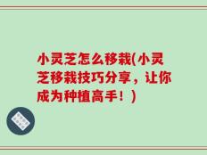 小灵芝怎么移栽(小灵芝移栽技巧分享，让你成为种植高手！)