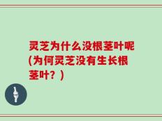 灵芝为什么没根茎叶呢(为何灵芝没有生长根茎叶？)