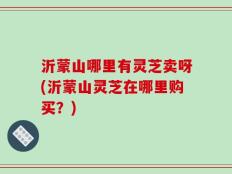沂蒙山哪里有灵芝卖呀(沂蒙山灵芝在哪里购买？)