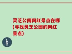 灵芝公园网红景点在哪(寻找灵芝公园的网红景点)