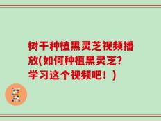 树干种植黑灵芝视频播放(如何种植黑灵芝？学习这个视频吧！)