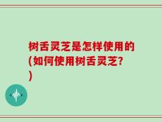 树舌灵芝是怎样使用的(如何使用树舌灵芝？)