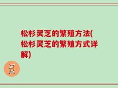松杉灵芝的繁殖方法(松杉灵芝的繁殖方式详解)