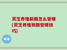 灵芝养殖前期怎么管理(灵芝养殖初期管理技巧)