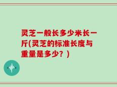 灵芝一般长多少米长一斤(灵芝的标准长度与重量是多少？)