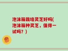 泡沫箱栽培灵芝好吗(泡沫箱种灵芝，值得一试吗？)