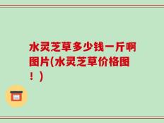 水灵芝草多少钱一斤啊图片(水灵芝草价格图！)