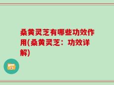 桑黄灵芝有哪些功效作用(桑黄灵芝：功效详解)