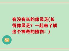有没有长的像灵芝(长得像灵芝？一起来了解这个神奇的植物！)