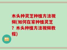 木头种灵芝种植方法视频(如何在家种植灵芝？木头种植方法视频教程)