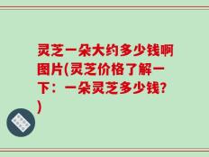 灵芝一朵大约多少钱啊图片(灵芝价格了解一下：一朵灵芝多少钱？)