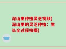深山里种植灵芝视频(深山里的灵芝种植：生长全过程拍摄)