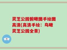 灵芝公园俯瞰图手绘图高清(高清手绘：鸟瞰灵芝公园全景)