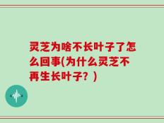 灵芝为啥不长叶子了怎么回事(为什么灵芝不再生长叶子？)