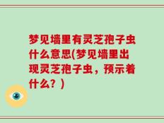 梦见墙里有灵芝孢子虫什么意思(梦见墙里出现灵芝孢子虫，预示着什么？)