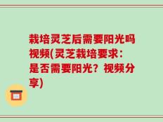 栽培灵芝后需要阳光吗视频(灵芝栽培要求：是否需要阳光？视频分享)