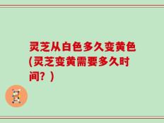 灵芝从白色多久变黄色(灵芝变黄需要多久时间？)