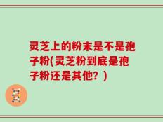灵芝上的粉末是不是孢子粉(灵芝粉到底是孢子粉还是其他？)