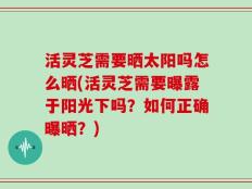 活灵芝需要晒太阳吗怎么晒(活灵芝需要曝露于阳光下吗？如何正确曝晒？)