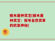 椴木菌种灵芝(椴木菌种灵芝：探寻自然灵草的抗氧神秘)