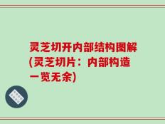 灵芝切开内部结构图解(灵芝切片：内部构造一览无余)