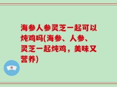 海参人参灵芝一起可以炖鸡吗(海参、人参、灵芝一起炖鸡，美味又营养)