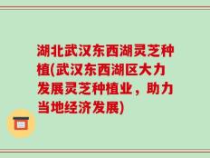 湖北武汉东西湖灵芝种植(武汉东西湖区大力发展灵芝种植业，助力当地经济发展)