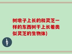 树墩子上长的和灵芝一样的东西树干上长着类似灵芝的生物体)